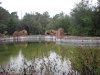 IMG_6439a.jpg