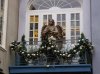 Disneyland Christmas 2014 Former Courtyard Angel.jpg