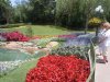 Epcot flowers.jpg