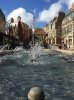 IMG_0340 copy.jpg