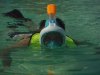 Snorkel.jpeg