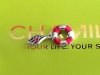 DCL Chamilia bead.jpg