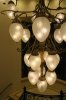 IMG_2646.jpg