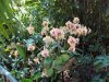 20160529_143513.jpg