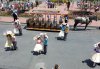 20160601_121655.jpg