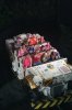 AK_DINOSAURRIDE_20160603_7705349287.jpeg