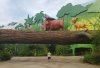20160603_182058.jpg