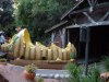 DL Pooh ride car.jpg