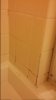 shower mold.jpg