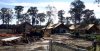cabins.JPG
