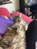 IMG_3030.jpeg