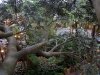 20160605_201420.jpg