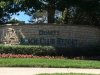 disney-s-beach-club-villas.jpg