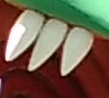crop 3.jpg
