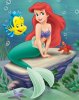 ariel-007.jpg