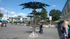 IMG_20160918_114533906.jpg