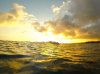 1795924_10100926910036846_1559413785_o.jpg