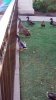 0906161816a.jpeg