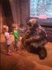 chewy.JPG