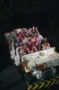 AK_DINOSAURRIDE_20160702_7733224307.jpeg