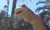 20160405_120915.jpg