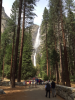 upload_2016-9-27_14-36-36.png