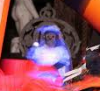 upload_2016-9-27_17-55-0.png