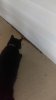 IMAG0550.jpg