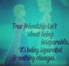fvt_frozen_on_pinterest_.jpg