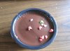 chocolate cake.jpg