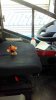 0905161020.jpeg