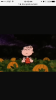IMG_1784.PNG