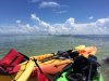 IMG_5544.JPG