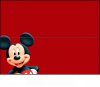 Bag Topper Mickey.jpg
