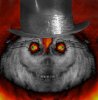 HauntedMansionStorm.jpg