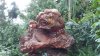 DSC_0187.jpg