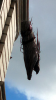 upload_2015-2-12_20-48-19.png