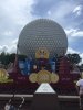 IMG_5594.jpg