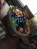 image.jpeg