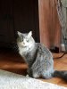20161015_105153.jpg