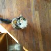 IMG_20160607_071931.jpg