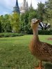 20160903_160942.jpg
