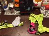 IMG_0469.JPG