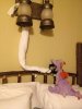 image.jpeg