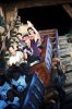 MK_MINETRAIN_20160903_7792209381.jpeg