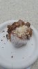 upload_2016-10-19_10-41-2.jpeg