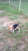 IMG_2321.PNG IMG_2321.PNG