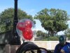 IMG_8432.JPG