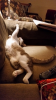 upload_2016-10-21_13-14-33.png