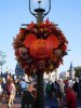 DSCN0243.JPG